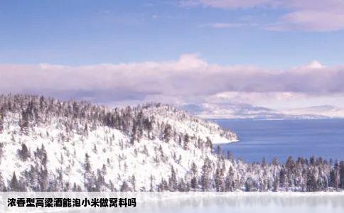 浓香型高梁酒能泡小米做窝料吗