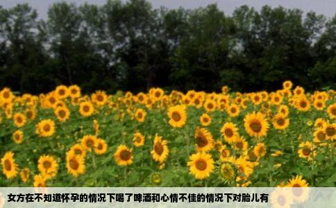 女方在不知道怀孕的情况下喝了啤酒和心情不佳的情况下对胎儿有