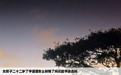 女孩子二十二岁了学调酒怎么样晚了吗还能学进去吗