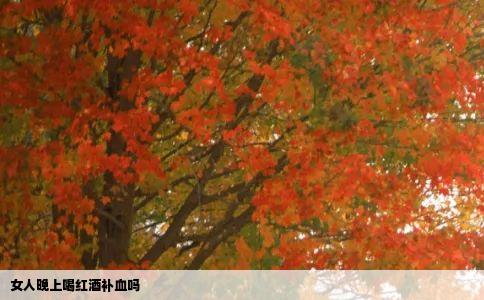 女人晚上喝红酒补血吗