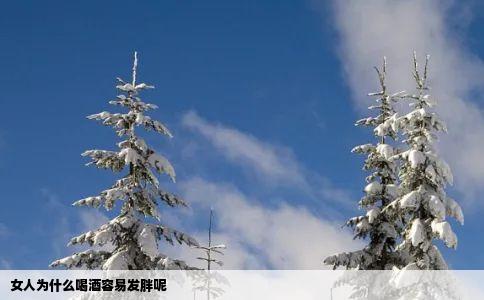 女人为什么喝酒容易发胖呢