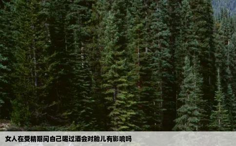 女人在受精期间自己喝过酒会对胎儿有影响吗
