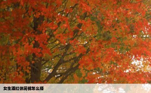 女生酒红休闲裤怎么搭