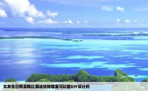 女友生日想买瓶红酒送给她哪里可以做DIY设计的