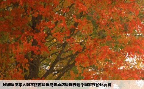 欧洲留学本人想学旅游管理或者酒店管理去哪个国家性价比高费