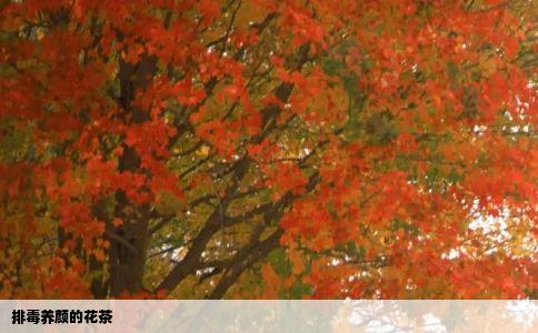 排毒养颜的花茶