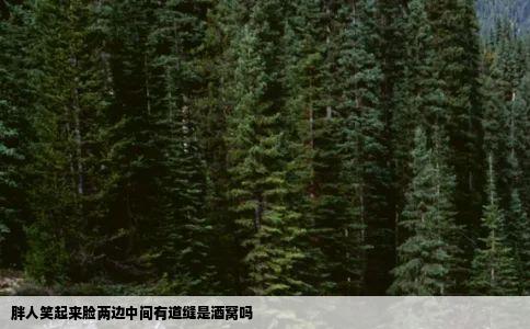 胖人笑起来脸两边中间有道缝是酒窝吗