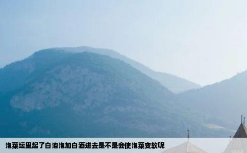 泡菜坛里起了白泡泡加白酒进去是不是会使泡菜变软呢