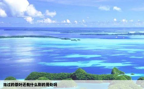 泡过的茶叶还有什么别的用处吗