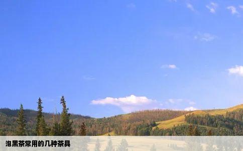 泡黑茶常用的几种茶具