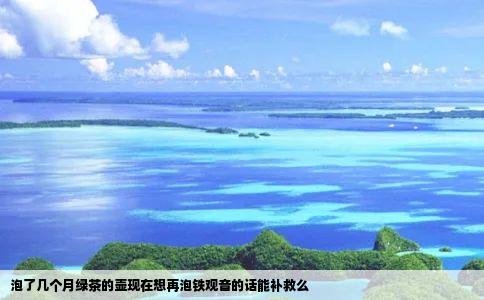 泡了几个月绿茶的壶现在想再泡铁观音的话能补救么