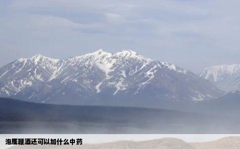 泡鹿鞭酒还可以加什么中药