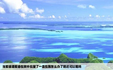 泡蜜蜂酒蜜蜂在就中拉屎了一直在跑怎么办了啊还可以喝吗