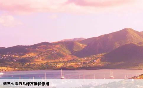 泡三七酒的几种方法和作用