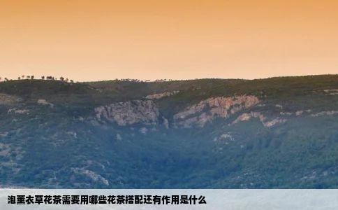 泡薰衣草花茶需要用哪些花茶搭配还有作用是什么
