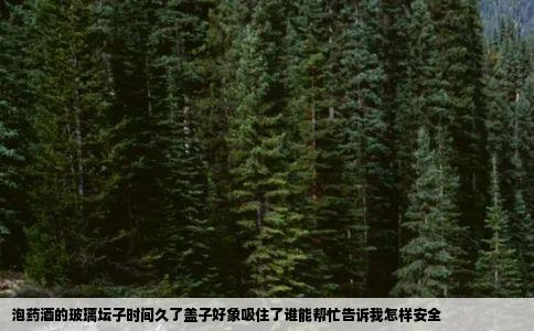 泡药酒的玻璃坛子时间久了盖子好象吸住了谁能帮忙告诉我怎样安全