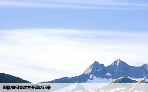 配偶如何查对方开酒店记录