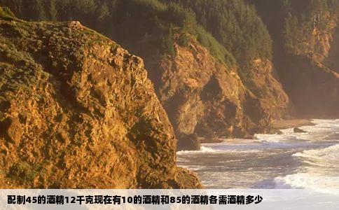 配制45的酒精12千克现在有10的酒精和85的酒精各需酒精多少