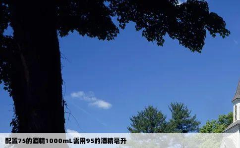 配置75的酒精1000mL需用95的酒精毫升