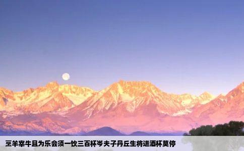 烹羊宰牛且为乐会须一饮三百杯岑夫子丹丘生将进酒杯莫停