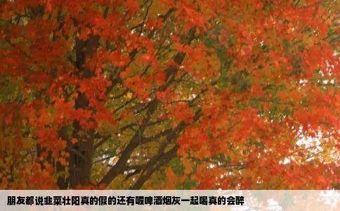 朋友都说韭菜壮阳真的假的还有喔啤酒烟灰一起喝真的会醉