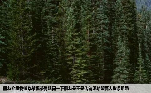 朋友介绍我做华莱黑茶我想问一下朋友是不是传销呢希望高人指条明路