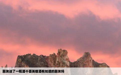 朋友送了一瓶酒千面英雄酒有知道的朋友吗