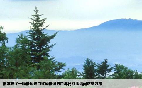 朋友送了一箱法国进口红酒法国自由年代红酒请问这就咋样