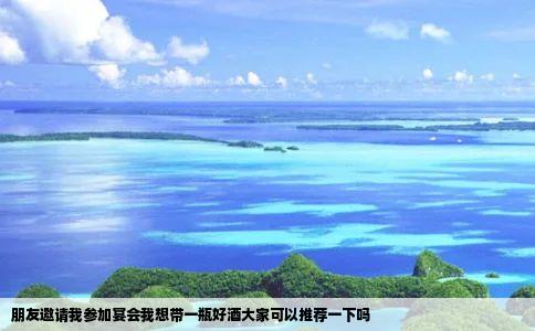 朋友邀请我参加宴会我想带一瓶好酒大家可以推荐一下吗