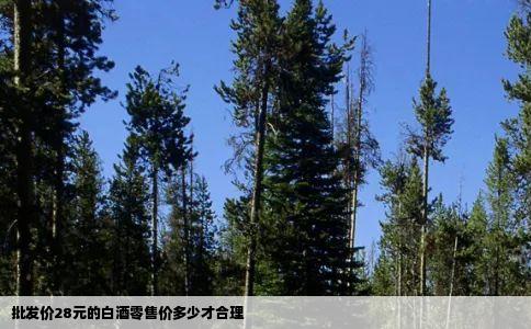 批发价28元的白酒零售价多少才合理