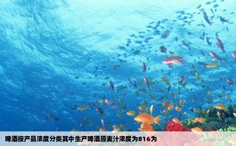 啤酒按产品浓度分类其中生产啤酒原麦汁浓度为816为