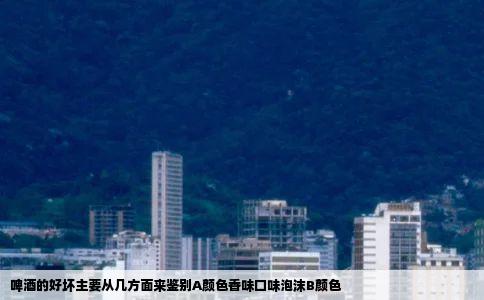 啤酒的好坏主要从几方面来鉴别A颜色香味口味泡沫B颜色