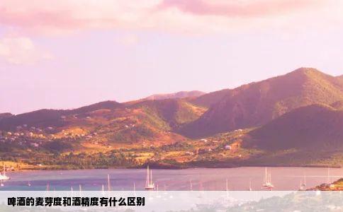 啤酒的麦芽度和酒精度有什么区别