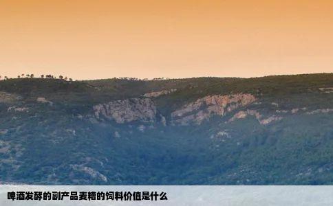 啤酒发酵的副产品麦糟的饲料价值是什么