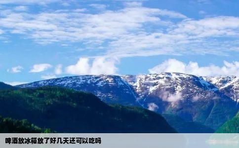 啤酒放冰箱放了好几天还可以吃吗