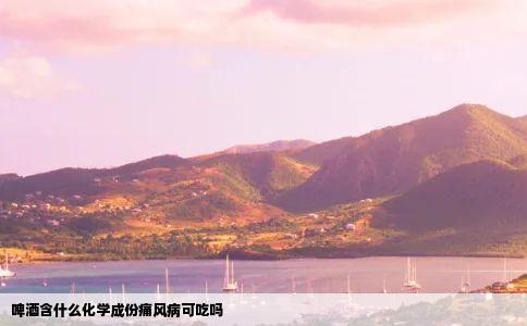 啤酒含什么化学成份痛风病可吃吗