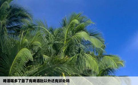 啤酒喝多了除了有啤酒肚以外还有坏处吗