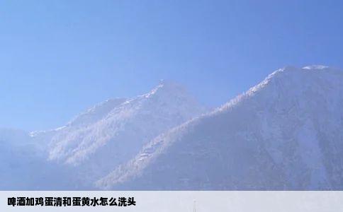 啤酒加鸡蛋清和蛋黄水怎么洗头