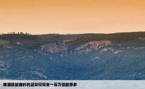 啤酒经销商的利润如何投资一百万你能挣多
