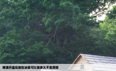 啤酒开盖后放在冰箱可以放多久不变质啊
