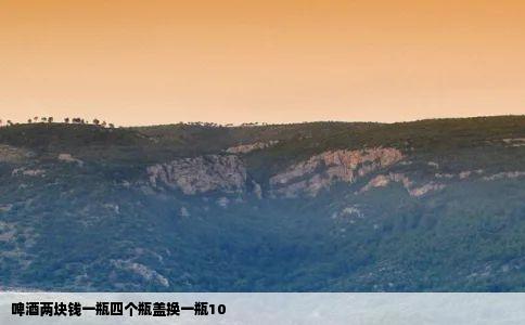 啤酒两块钱一瓶四个瓶盖换一瓶10