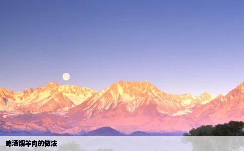 啤酒焖羊肉的做法