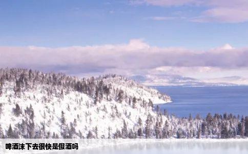 啤酒沫下去很快是假酒吗