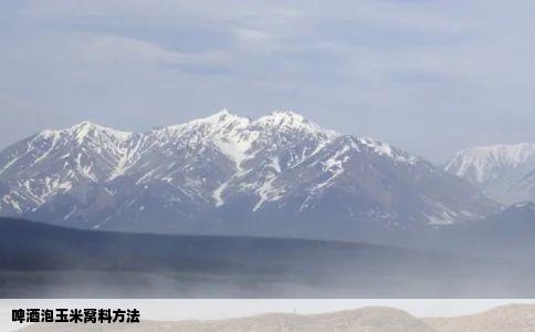 啤酒泡玉米窝料方法