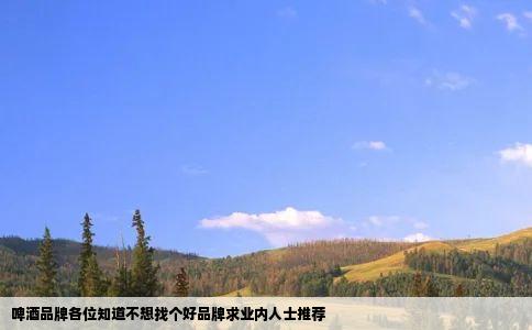 啤酒品牌各位知道不想找个好品牌求业内人士推荐