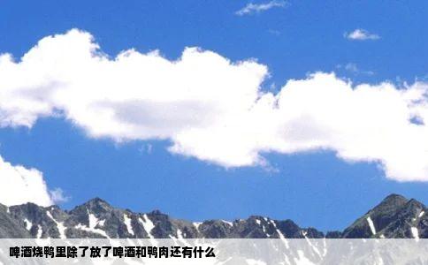 啤酒烧鸭里除了放了啤酒和鸭肉还有什么