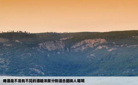 啤酒是不是有不同的酒精浓度分别适合那类人喝呢