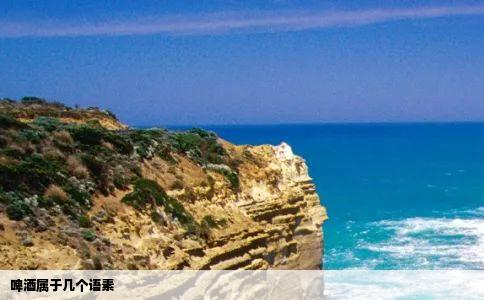 啤酒属于几个语素