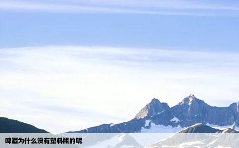 啤酒为什么没有塑料瓶的呢