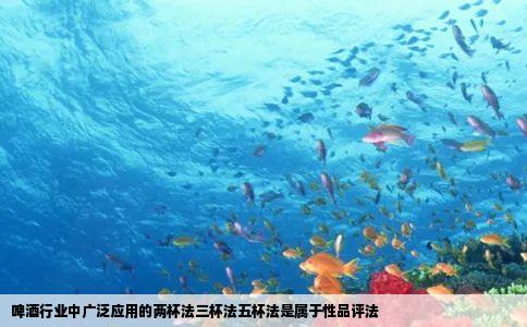 啤酒行业中广泛应用的两杯法三杯法五杯法是属于性品评法